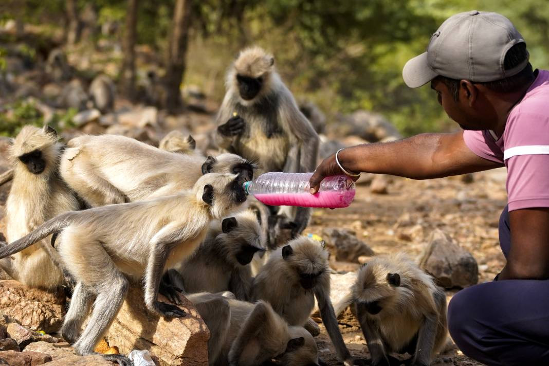 Termometreler 50 dereceyi gösterdi. Tarihin en yüksek sıcaklık rekoru - Resim: 11